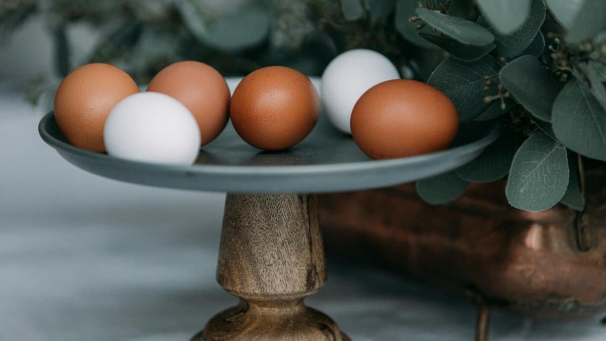 A stylish composition of brown and white eggs displayed on a wooden stand, surrounded by greenery.
