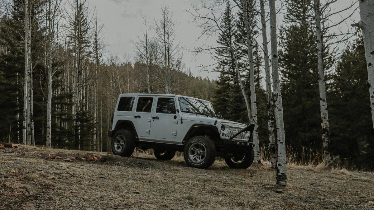 Explore rugged terrain with a 4x4 in the serene forests of Colorado Springs.