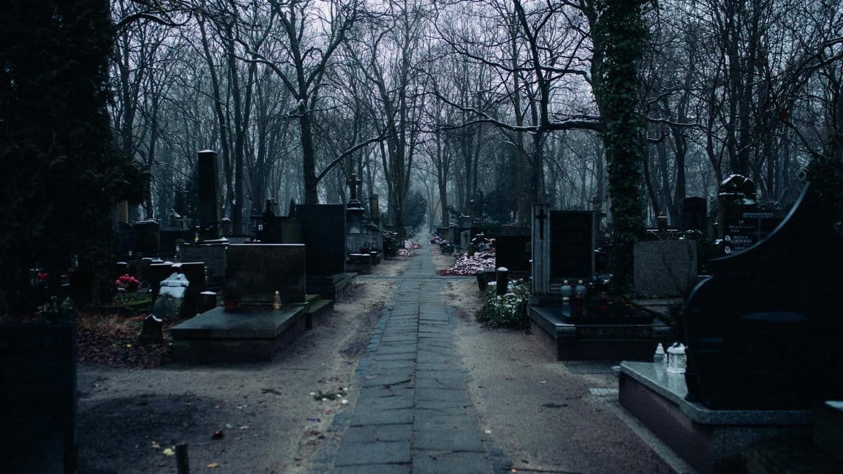Spooky cemetery path with gravestones and bare trees in a winter setting, evoking a sense of stillness and mystery.