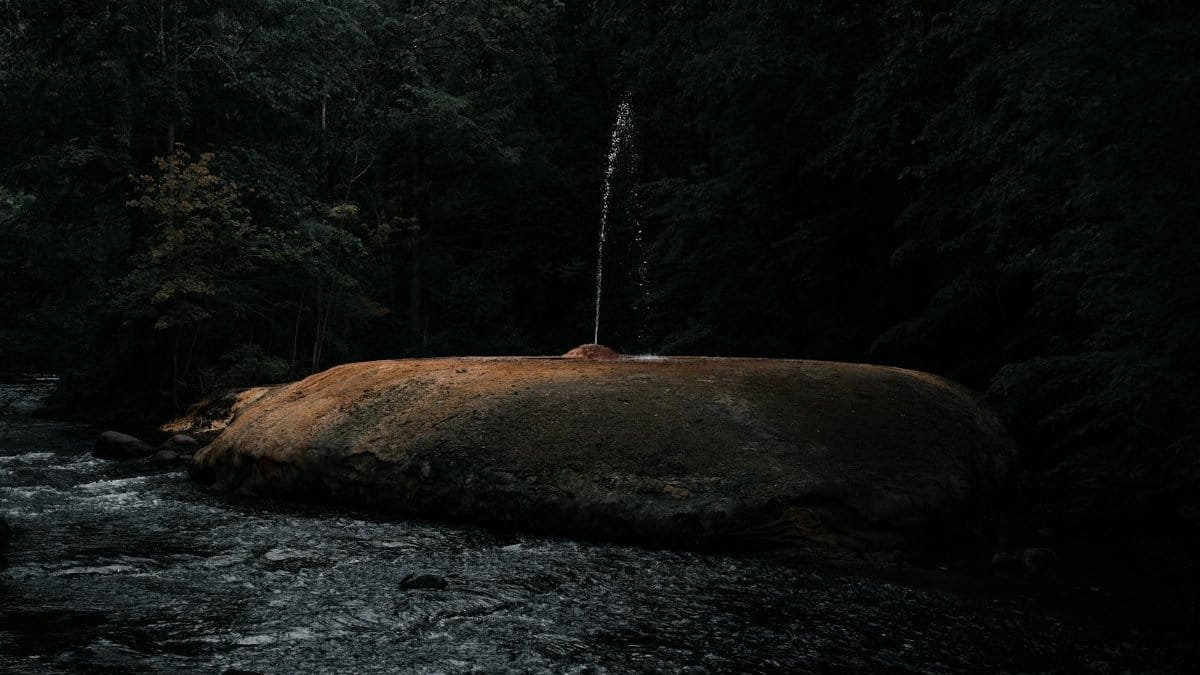 Captivating scene of a natural geyser spouting water in a lush forest setting.