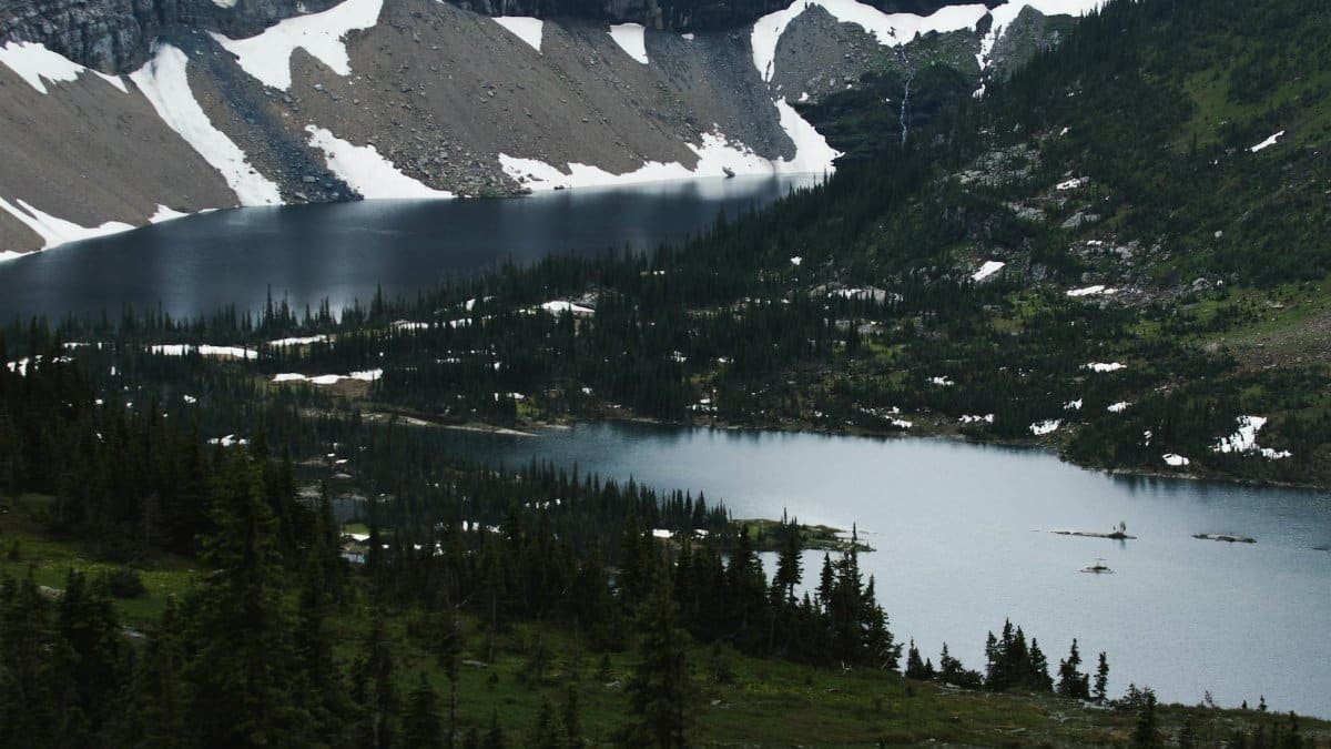 Spectacular landscape of calm Hidden Lake surrounded by coniferous trees and snowy mountains in Glacier National Park