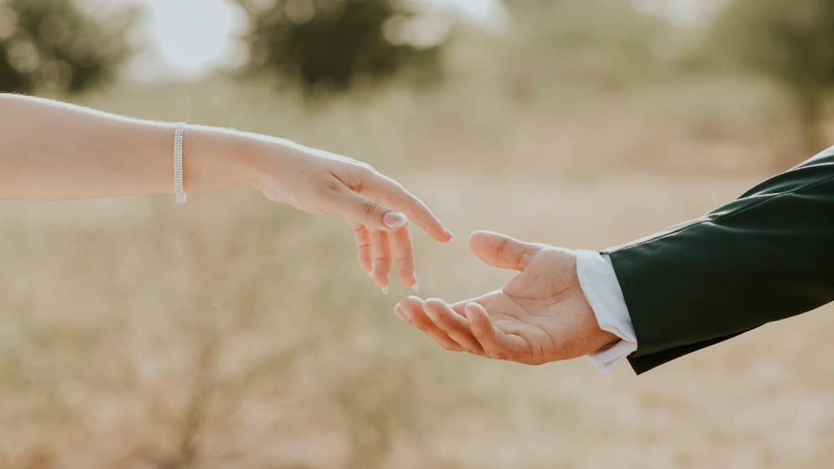 A touching moment captured outdoors with hands reaching towards each other, evoking a sense of connection.