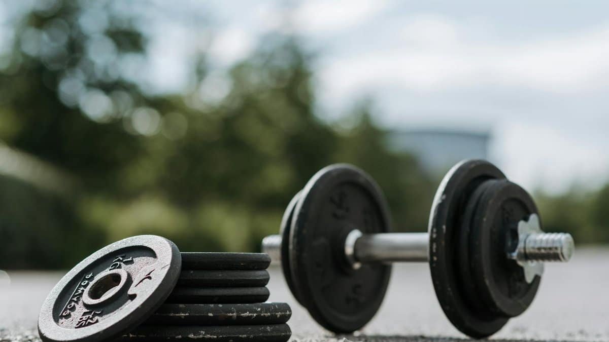 A close-up view of a dumbbell and weight plates outdoors on a sunny day.