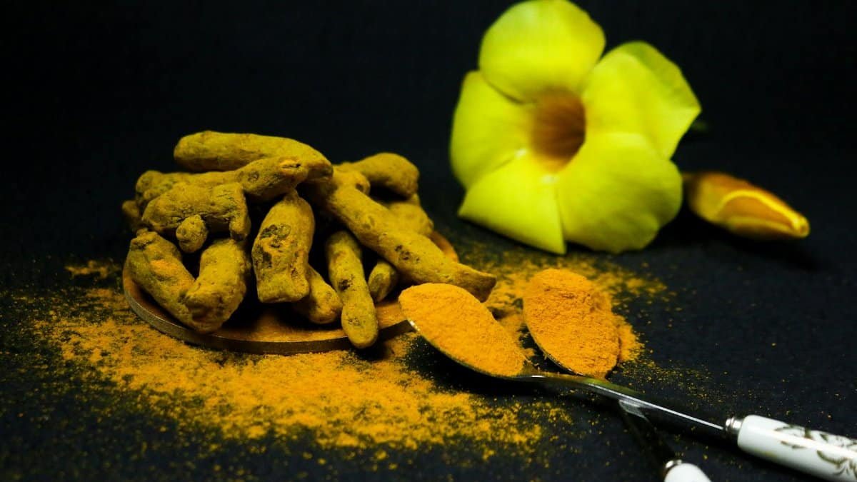 Vivid close-up of turmeric roots and powder with decorative flower on black backdrop, highlighting spice details.