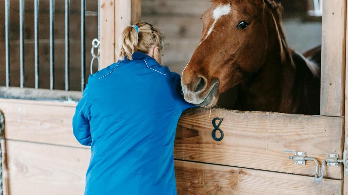 A woman bonding with a horse in a wooden stable, showcasing human-animal connection.