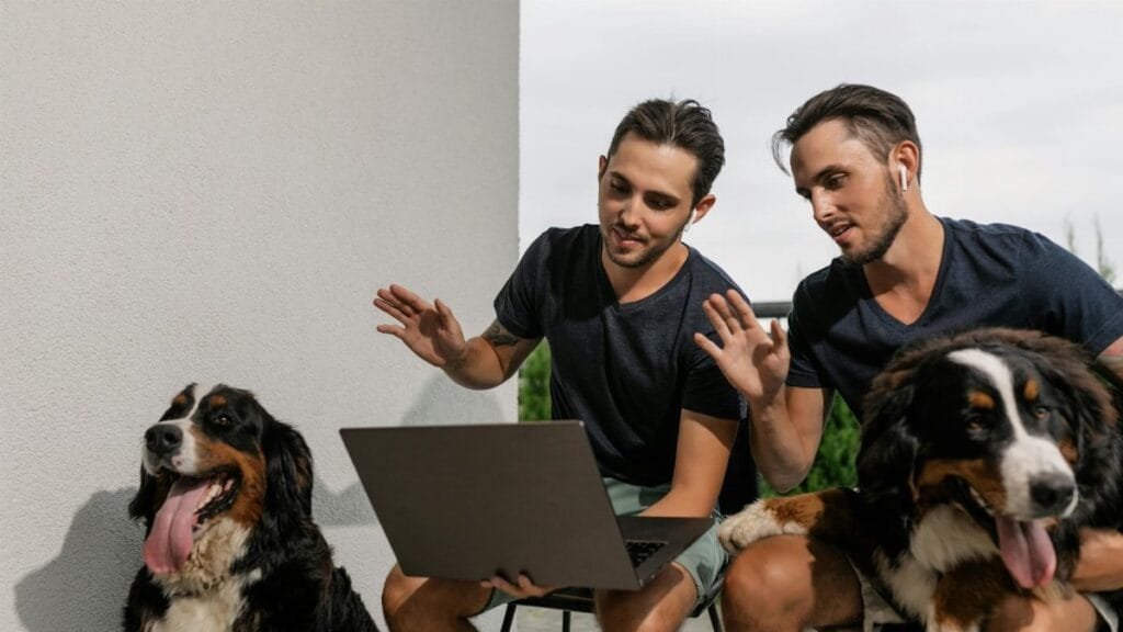 Twin brothers and Bernese Mountain Dogs engaged in an online session outdoors.