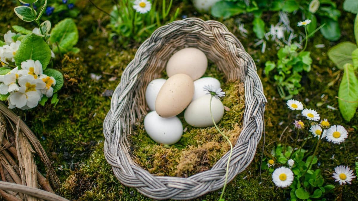 A wicker basket filled with eggs placed on moss amidst blooming flowers, representing spring.