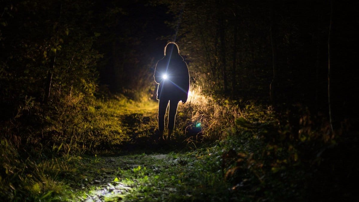 A lone woman with a flashlight illuminates a dark forest path, creating a mysterious nighttime scene.