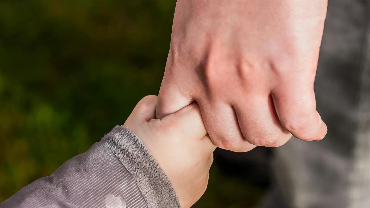 A close-up of a child and parent holding hands in a park, symbolizing love and trust.