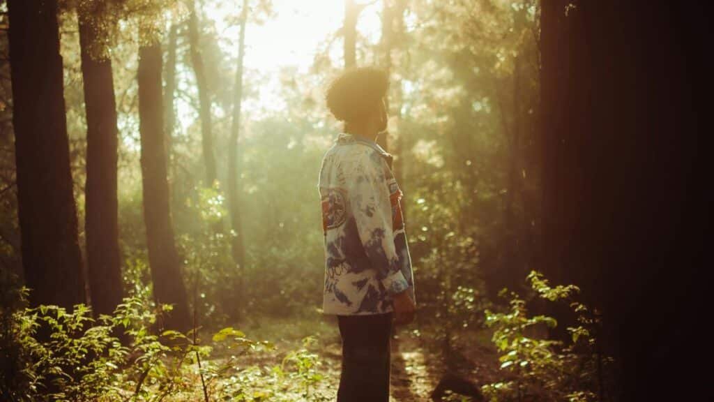 A person stands thoughtfully in a sunlit forest surrounded by tall trees and glowing foliage.