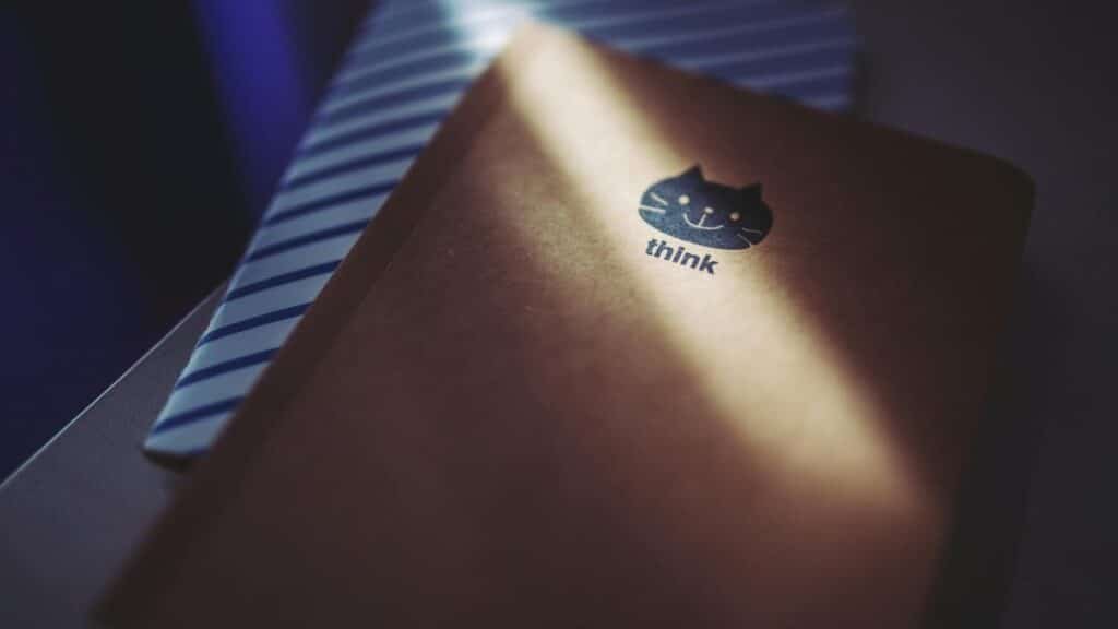 A brown notepad with a cat design and 'think' text illuminated by sunlight.