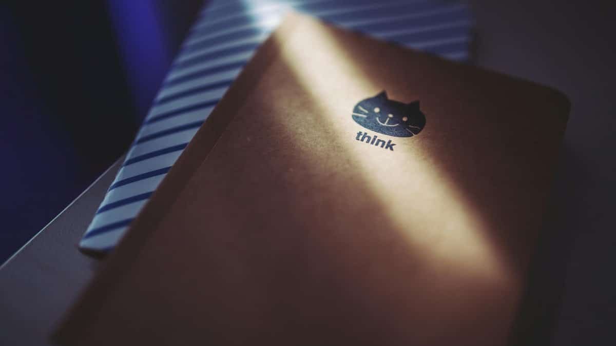 A brown notepad with a cat design and 'think' text illuminated by sunlight.