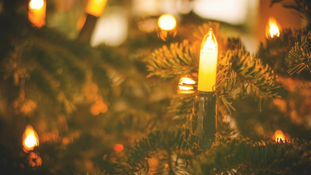 Close-up of warm glowing lights on a Christmas tree, creating a festive atmosphere.