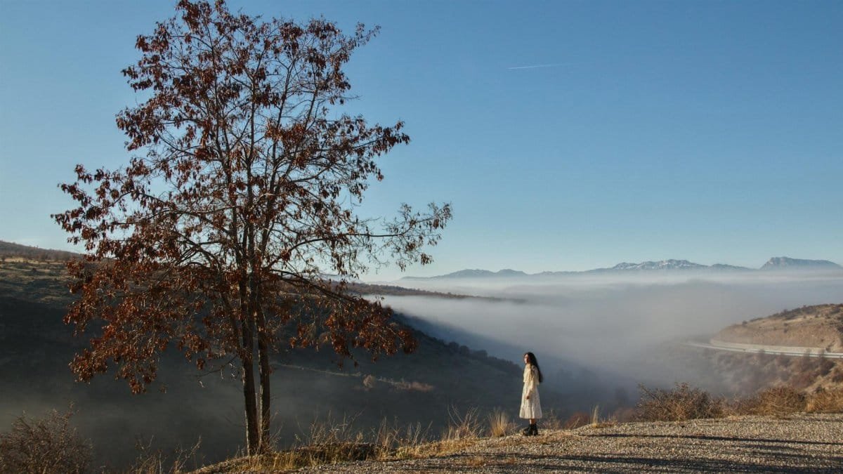 A woman stands by a tree with mountains and mist in the distance, capturing a serene autumn scene.