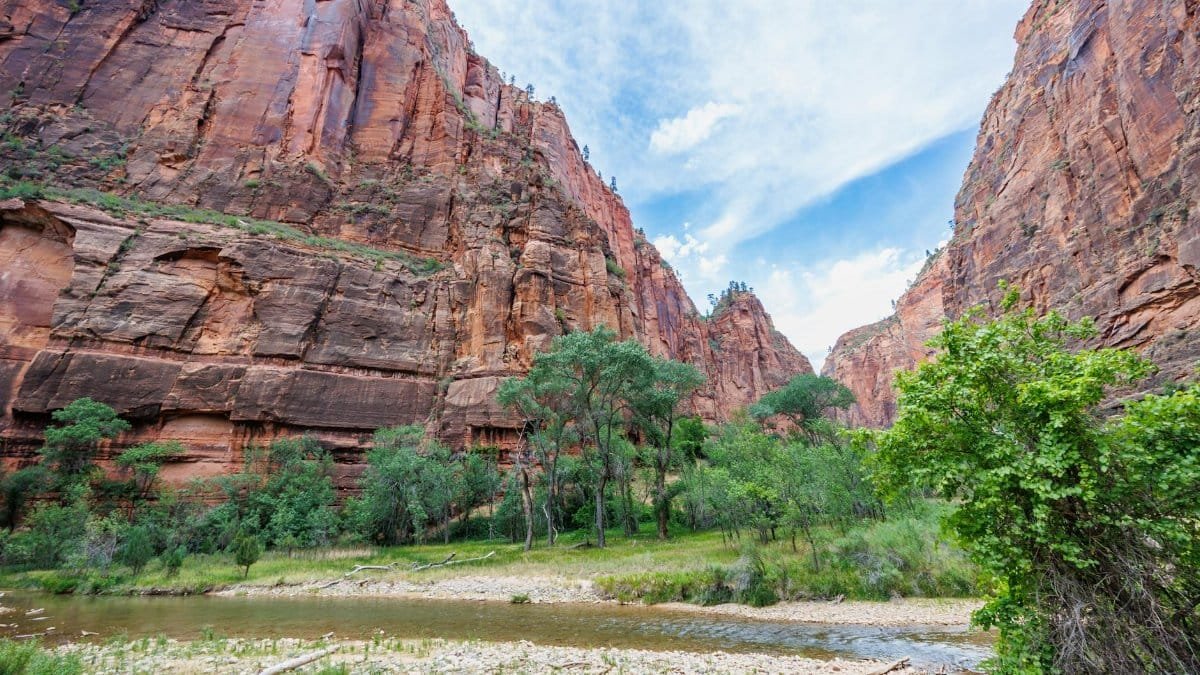 Stunning view of Zion National Park's red cliffs and green landscape in Utah.