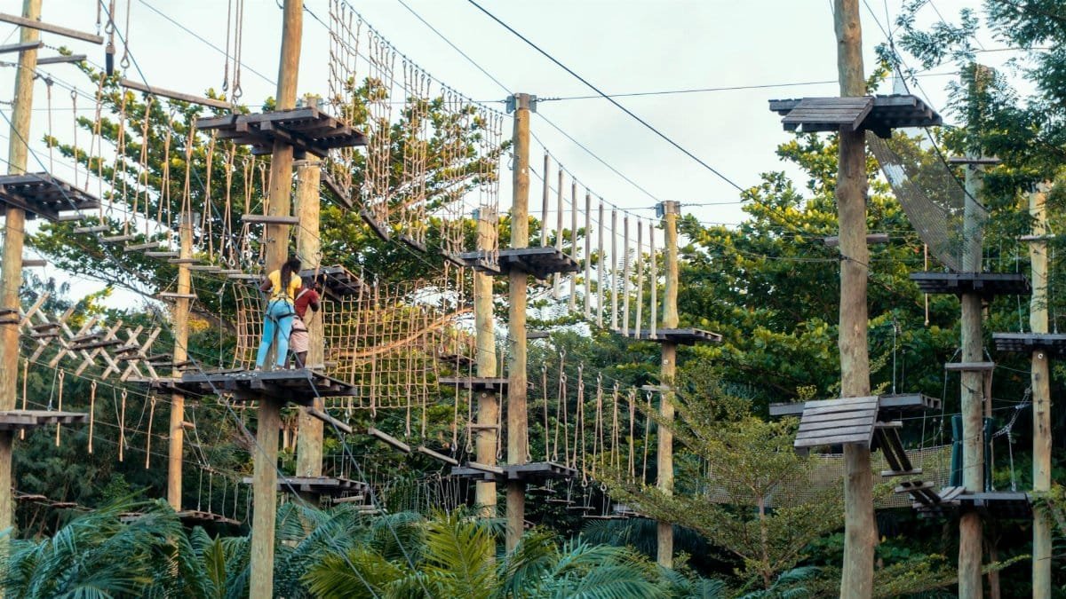 A thrilling high ropes course set amidst lush greenery, perfect for outdoor climbing adventures.