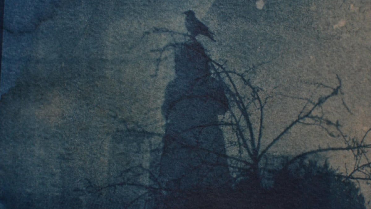 Moody cyanotype photograph featuring a bird silhouette on a branch, exuding a vintage feel.