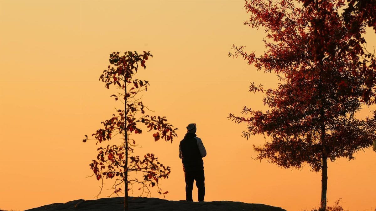 A lone figure stands at dawn amid autumn trees, capturing the serene beauty of Stamford, Connecticut.