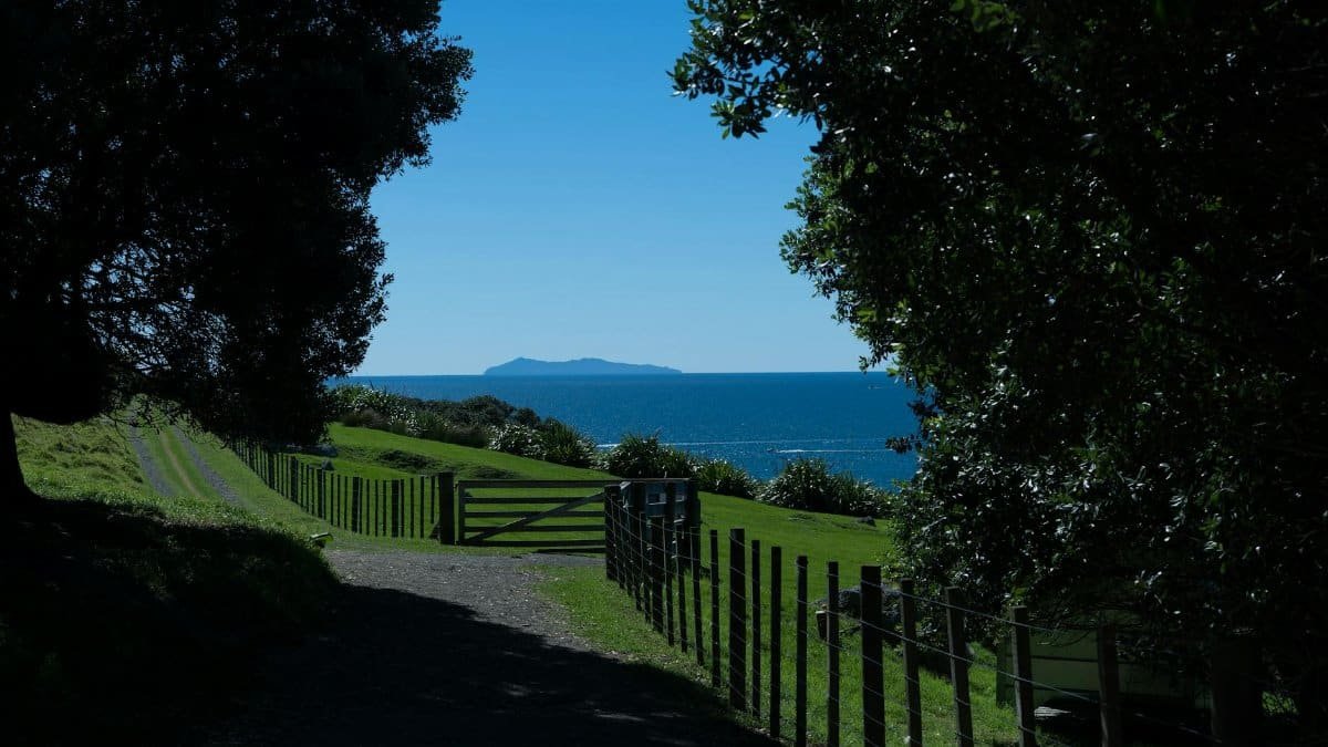 Peaceful landscape view of a secluded path by the ocean at Mount Maunganui, New Zealand.
