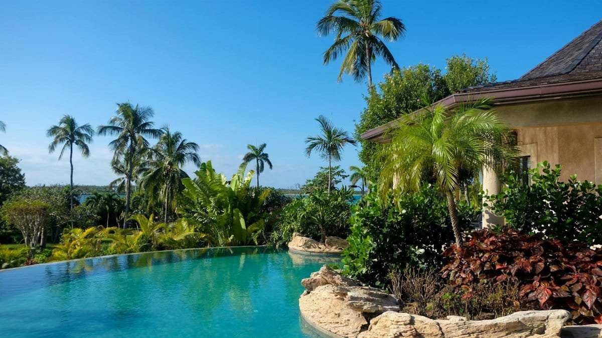 A serene tropical poolside view with lush greenery in New York.