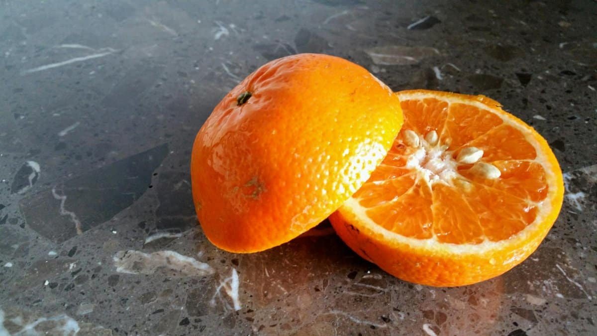 A vibrant, freshly cut orange revealing its juicy segments on a marble surface.