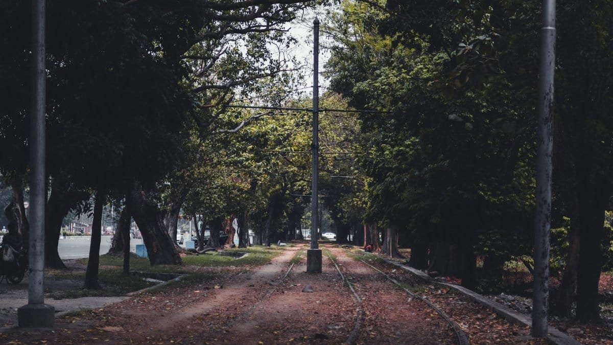 Rustic railway tracks through a lush canopy in a quiet urban setting during daytime.