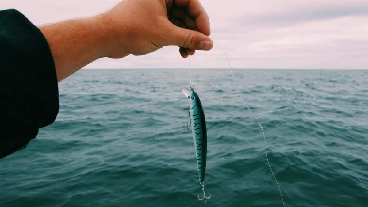 A hand holding a fishing lure above ocean waters, ideal for fishing enthusiasts.