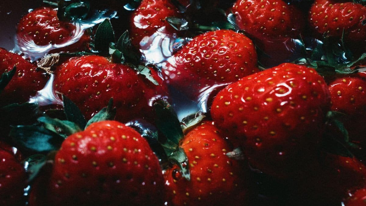 Free stock photo of fruit, strawberries