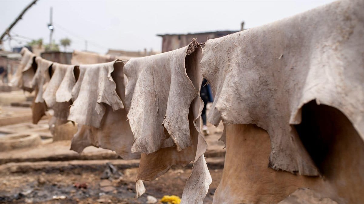 Broader Implications for Agriculture