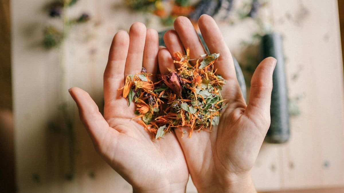 Close-up of hands holding a mix of vibrant dried herbs on a wooden surface.