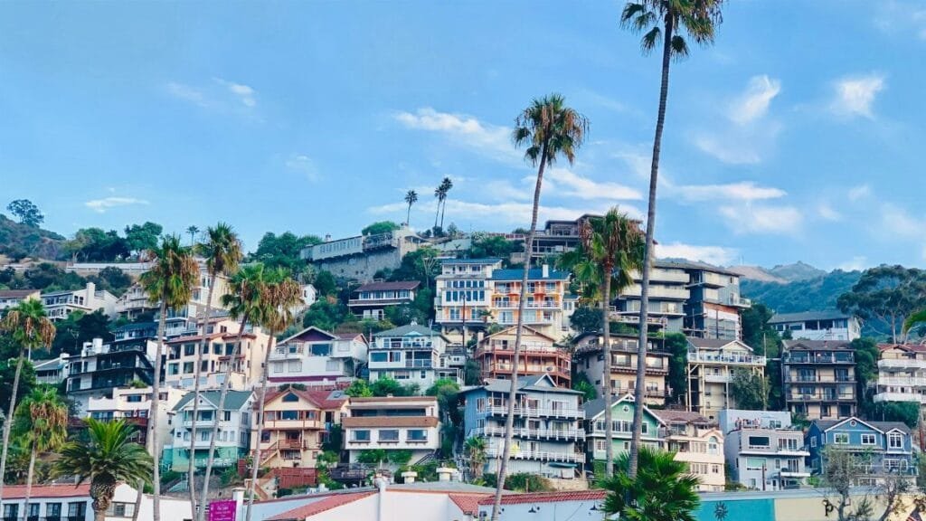 Colorful hillside homes in Avalon, CA framed by palm trees under a clear blue sky.