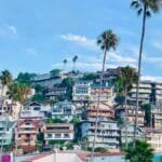 Colorful hillside homes in Avalon, CA framed by palm trees under a clear blue sky.