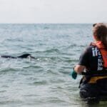 Volunteer aids dolphin release in Massachusetts waters.