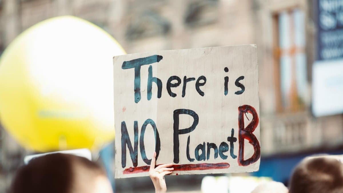 Protest sign at climate change rally reading 'There is no Planet B'.