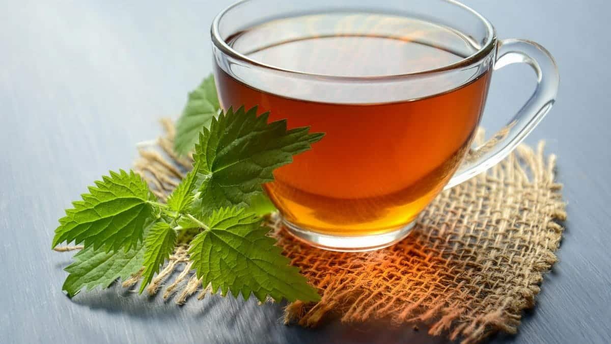 A close-up of herbal tea in a glass cup with fresh mint leaves on a table.
