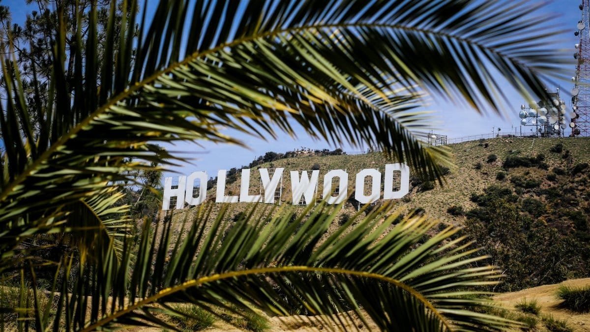 Famous Hollywood Sign framed by palm leaves on a sunny day in Los Angeles, California.