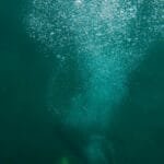 A scuba diver creates a trail of bubbles while exploring the deep ocean underwater.