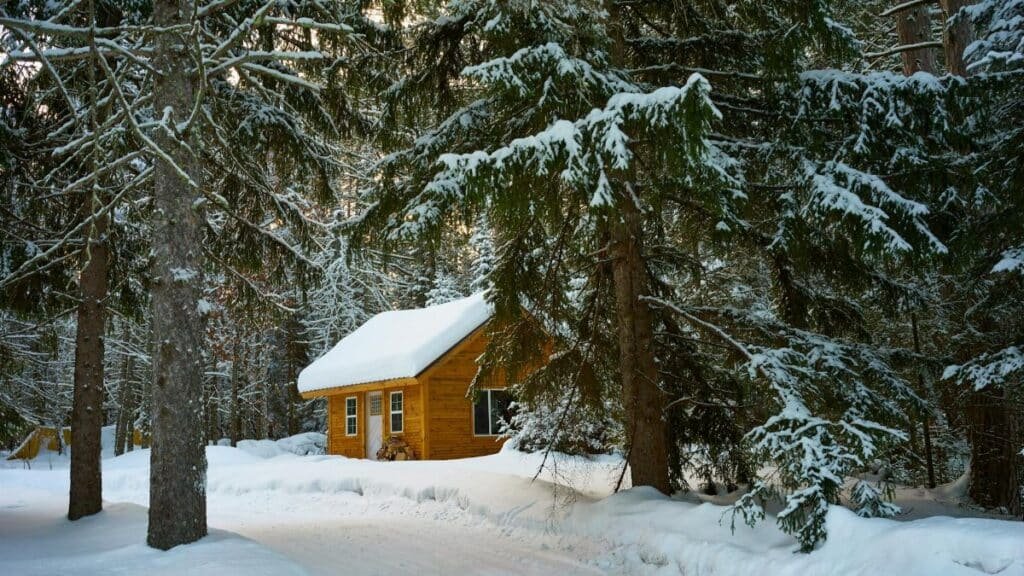 Charming winter cabin nestled among snowy evergreens in Duluth, MN.