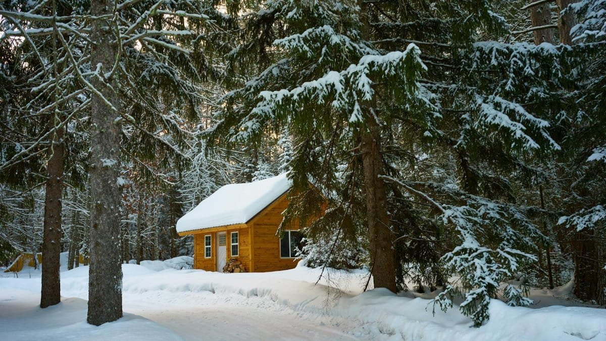 Charming winter cabin nestled among snowy evergreens in Duluth, MN.