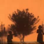 Shadows of people and trees on a sunlit wall create a striking scene in İstanbul.