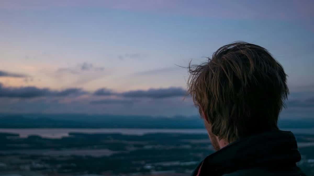 Man viewing scenic landscape at dusk, gazing across serene panorama, creating a peaceful and reflective mood.