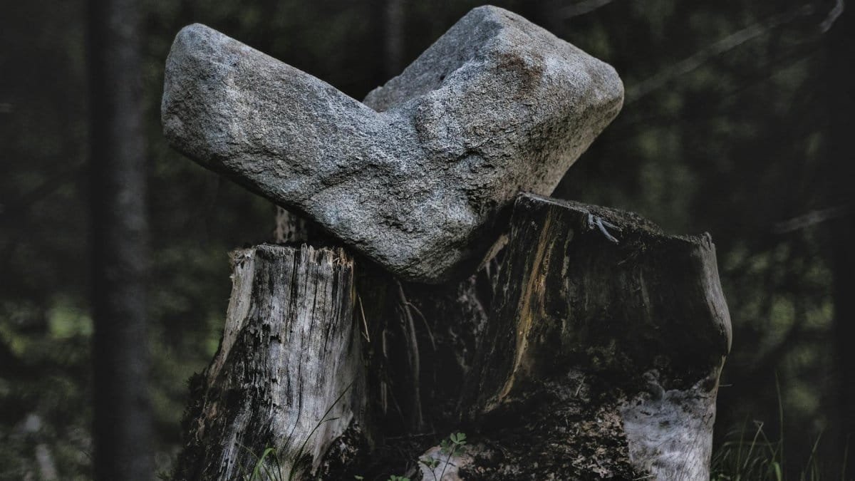 A stone intricately balanced on a tree stump amidst a dark forest landscape.