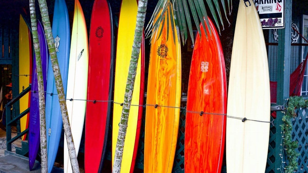 Vibrant surfboards on display at a surf shop in Haleiwa, Hawaii, showcasing tropical colors.