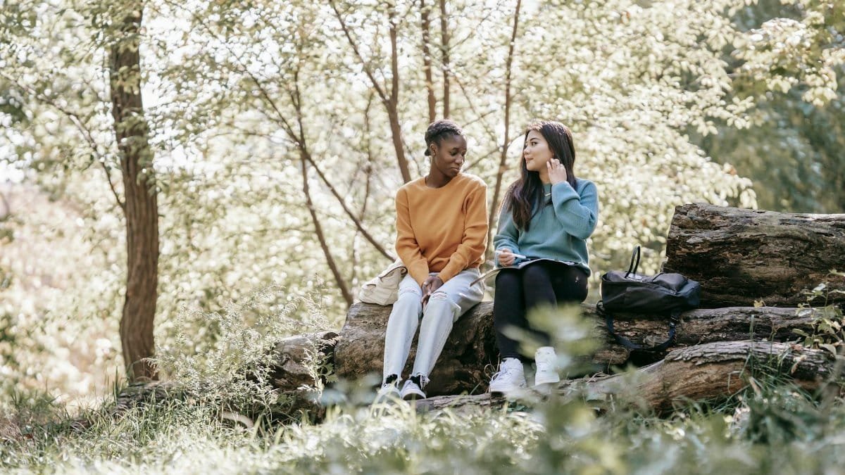 Full body content young multiethnic female students in casual sweaters sitting on tree trunk with paper folder and discussing project together in sunny park