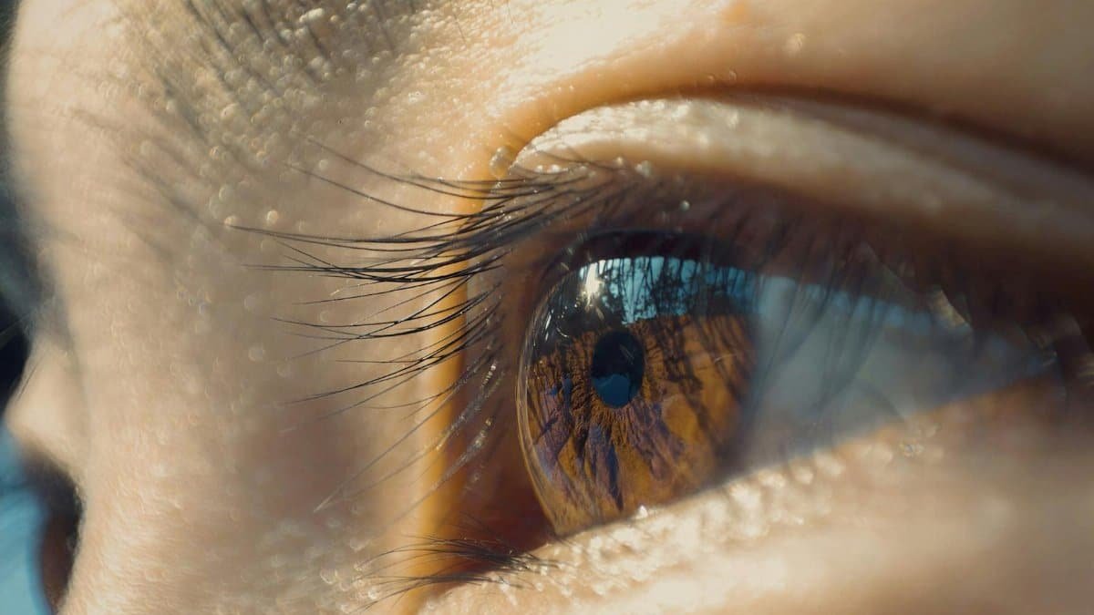 Detailed macro of an eye reflecting trees and sky, capturing natural beauty and introspection.
