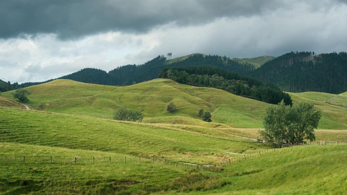 Lush green rolling hills and forests under cloudy skies in Hunua, New Zealand.