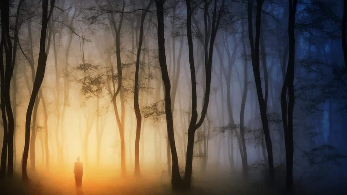 A solitary figure silhouetted against a mystical forest at sunset, enveloped in dreamy mist and warm sunlight.