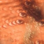 A surreal abstract portrait with a kaleidoscope of multiple eyes, evoking a sense of dreamlike fantasy.