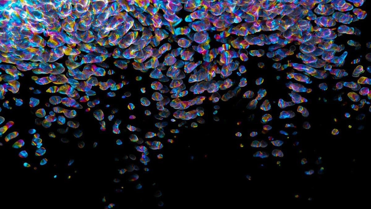 Colorful abstract pattern with rainbow light reflections against a black backdrop.