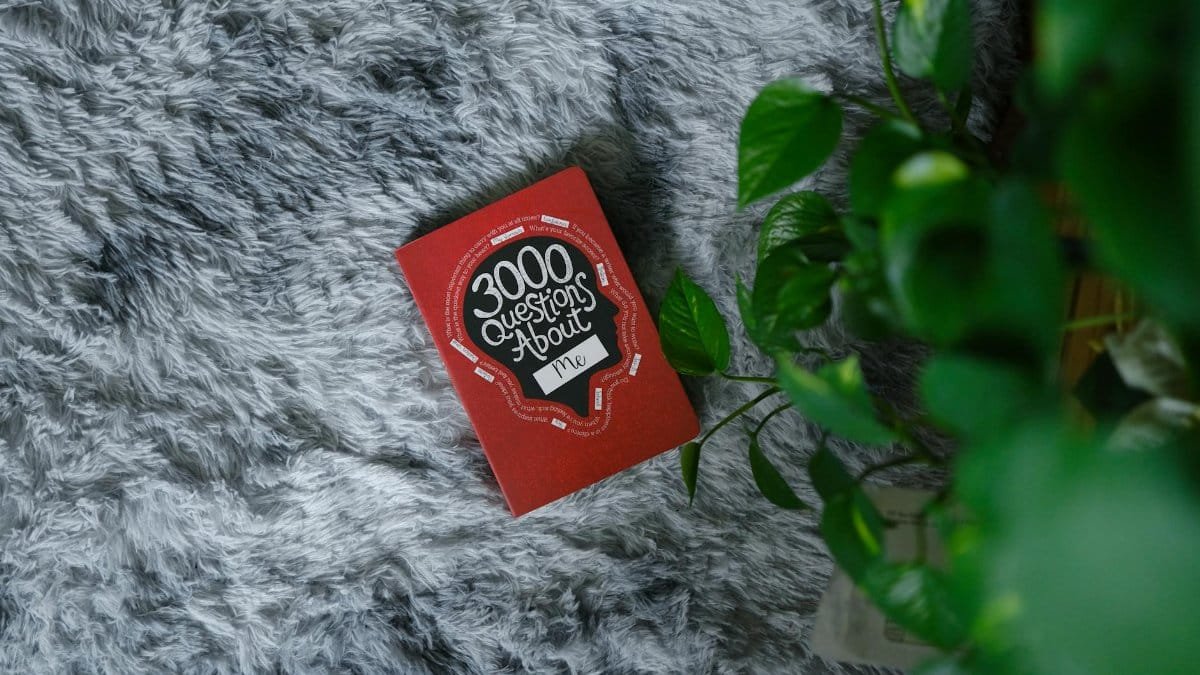 A red card game book titled '3000 Questions About Me' on grey fuzzy carpet with green plants.